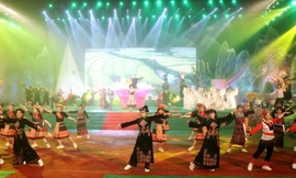 Chương trình nghệ thuật tại lễ công bố thành lập thị xã Sa Pa.