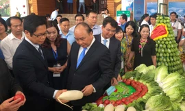 Thủ tướng Chính phủ Nguyễn Xuân Phúc thăm gian hàng nông nghiệp của tỉnh Lào Cai. 