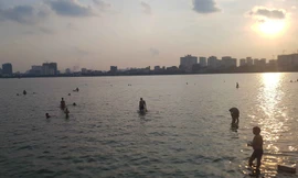 Người dân đổ ra Hồ Tây tắm, mặc cá chết bốc mùi tanh nồng ​