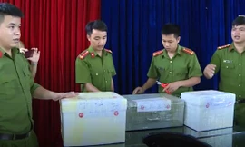 Đội Cảnh sát điều tra tội phạm về hình sự - kinh tế - ma túy, Công an huyện Lục Yên tiến hành bàn giao 105kg tiền cổ. Số tiền cổ do lực lượng Công an huyện Lục Yên thu giữ.