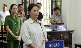 Tòa án nhân dân tỉnh Lào Cai đã tuyên phạt Lê Thị Huệ 17 năm tù giam.