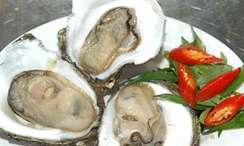 Nhiễm giun trong máu: thật hay đùa?