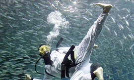 Võ sĩ Taekwondo đánh nhau với cá