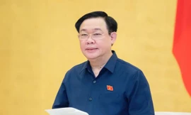 Ủy ban Thường vụ Quốc hội xem xét, phê chuẩn bổ nhiệm, miễn nhiệm đại sứ đặc mệnh toàn quyền