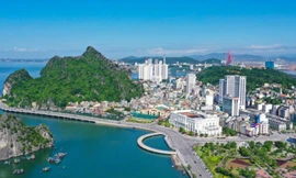 Bước qua nỗi sợ, tạo đột phá kinh tế: Tỉnh '6 dám, 5 thật' phát triển toàn diện 