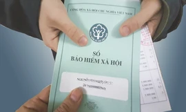 Tái diễn tình trạng 'rồng rắn' chờ rút Bảo hiểm xã hội một lần