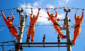 Phó Giám đốc Điện lực Bình Thuận được ủy quyền điều hành công ty