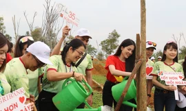 Khởi động trồng một triệu cây xanh ở Lai Châu