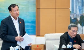 Bổ sung dao có tính sát thương cao vào danh mục vũ khí thô sơ