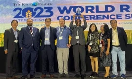 Gạo ST25 đoạt giải gạo ngon nhất thế giới năm 2023