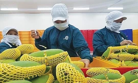 Nhiều nông sản kỳ vọng gia nhập 'câu lạc bộ' tỷ USD 
