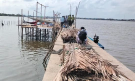 Vụ tự ý bao chiếm đất rừng phòng hộ nuôi sò huyết: Buộc trả lại hiện trạng ban đầu