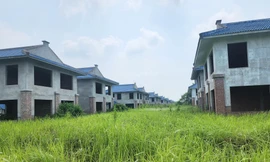 Dự án Làng sinh thái, du lịch, đô thị đầm Dạ Trạch đang bỏ hoang