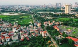 Nhiều khu đất sau đấu giá tại Đông Anh, Hà Nội bị bỏ hoang nhiều năm