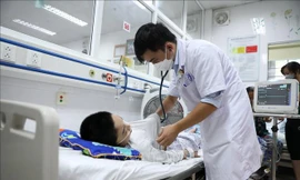 Dịch sốt xuất huyết tăng, Bộ Y tế hỗ trợ Hà Nội 