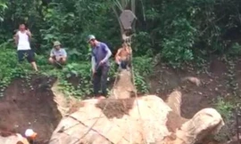 Người dân đào móng nhà được tảng đá hình con rùa gây xôn xao