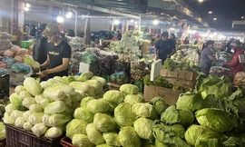 Hàng Tết tấp nập về chợ đầu mối TPHCM, tăng gần 100%/. Ảnh: U.P