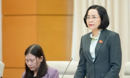 Đại biểu Quốc hội: 'Cò đất' ở địa phương 'rất đau đầu'
