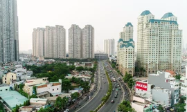 Dự án đất nền tại khu nhà ở Đại Nam, Bình Dương trở thành nơi thả bò. Ảnh: Hương Chi