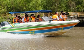 Phó Chủ tịch nước Võ Thị Ánh Xuân khảo sát rừng phòng hộ ven biển Cà Mau