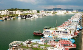 Chủ tàu du lịch ở Quảng Ninh 'kêu trời' vì liên tục bị kiểm tra 