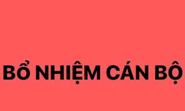 Bổ nhiệm ông Trịnh Mạnh Linh làm Trợ lý Thủ tướng Phạm Minh Chính