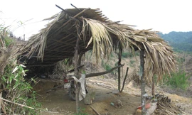 Doanh nghiệp kêu cứu, chính quyền bó tay