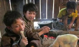 Tộc người sống nhờ củ mài