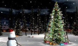 Cây thông Noel lâu năm nhất thế giới