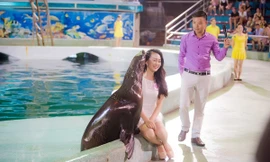 Thí sinh Hoa hậu Việt Nam được hải cẩu hôn má