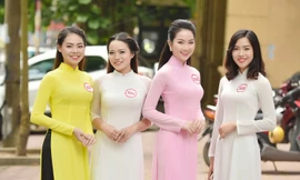 Những nhan sắc tươi trẻ vòng sơ khảo phía Bắc HHVN 2016