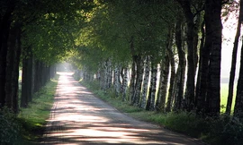 Hành trang cơ bản cho tuổi trẻ