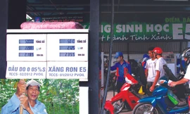 'Biến sắn thành xăng', người trồng điêu đứng