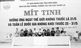 Các đại biểu tham dự Lễ mít tinh hưởng ứng Ngày Thế giới không thuốc lá 31/5 và Tuần lễ Quốc gia không thuốc lá từ 25/5-31/5/2019