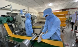 Chính phủ đang nỗ lực tháo gỡ khó khăn hỗ trợ sản xuất, kinh doanhẢnh: Văn Minh