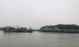 Cảng cá lạch Quèn 