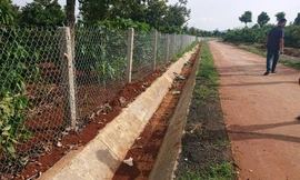 Đường bê tông vào nơi không quy hoạch