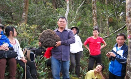 Thầy trò mừng rỡ với tảng nấm linh chi giữa VQG Yok Đôn Ảnh: NGUYỄN QUYỀN