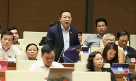 ĐBQH Lưu Bình Nhưỡng tại phiên thảo luận Ảnh: Như Ý 