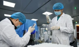 Trong hai tuần đến một tháng, Việt Nam có thể tự sản xuất bộ test phục vụ xét nghiệm các trường hợp nghi nhiễm virus corona Ảnh: minh họa