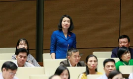 Ủy viên Thường trực Ủy ban Tư pháp Mai Thị Phương Hoa đề nghị bổ sung các quy định để ngăn chặn tình trạng đùn đẩy, né tránh tham gia công tác giám định tư pháp ảnh: Như Ý