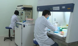 Các nhà khoa học của Viện Công nghệ Sinh học, Viện Hàn lâm Khoa học và Công nghệ Việt Nam nghiên cứu ra bộ Kit phát hiện SARS-Cov-2 Ảnh: PV 