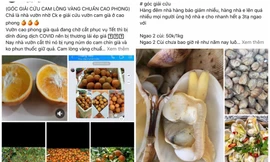 Chợ mạng hô hào giải cứu thực phẩm