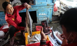 Hai mẹ con bà Lan livestream bán hải sản ngay sau khi tàu vào bờ. Ảnh: Thanh Trần