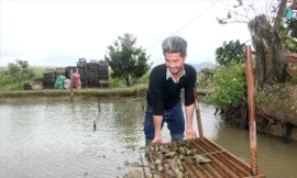 Anh Tuấn kiểm tra sức khỏe trai nuôi dưới ao