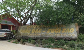 Hà Nội chỉ đạo xử lý vụ “xẻ thịt” đất rừng tại huyện Thạch Thất