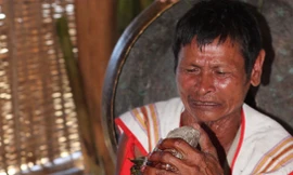 Già A Ren cho Yang Plút “ăn” 