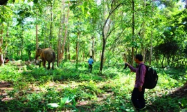Mô hình du lịch thân thiện cho khách tham quan từ xa
