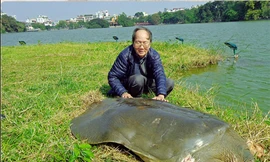 PGS Hà Đình Đức và Cụ rùa Hồ Gươm