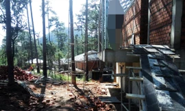 Công trình sai phạm trong rừng thông 